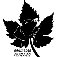 Foto del organizador